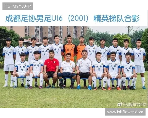 成都足球队实力揭秘：从青训到职业联赛的全景分析与展望
