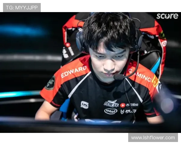 深入分析EDG战队运营策略与市场表现的成功之道