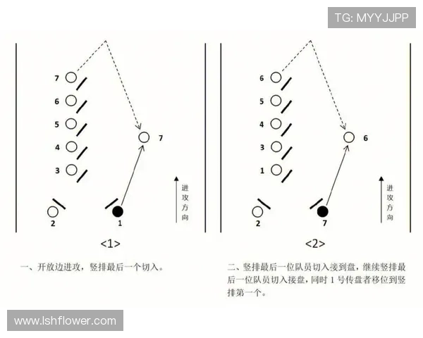 武汉飞盘队的战术解析与控制体系探讨之路