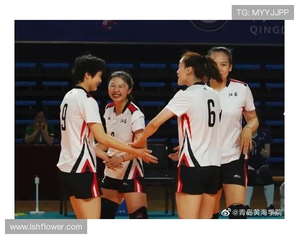 深圳排球队与南京排球队技术对决赛后分析与总结