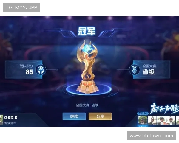 王者荣耀战术解析JDG战队灵活转换体系的深度剖析与应用