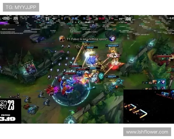 英雄联盟团队协作排名新突破JDG展现卓越实力引领潮流