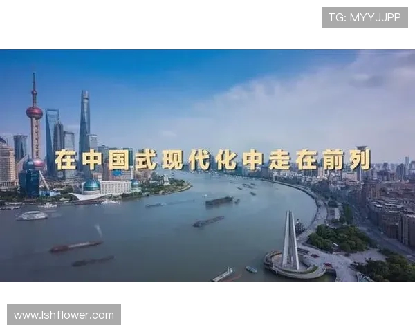 谢什科的传奇旅程与影响力探讨:从历史到现代的深度剖析