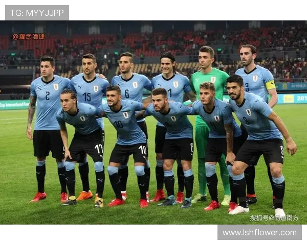 南京足球队在欧锦赛中的实力展现与未来发展潜力分析