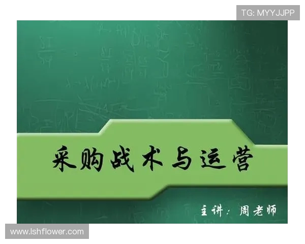 广州篮球队的战术创新与运营体系分析探讨