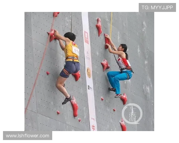 成都攀岩队与重庆攀岩队赛后战术分析与总结探讨